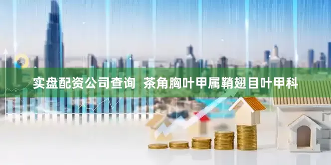 实盘配资公司查询  茶角胸叶甲属鞘翅目叶甲科