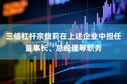 三倍杠杆宗馥莉在上述企业中担任董事长、总经理等职务