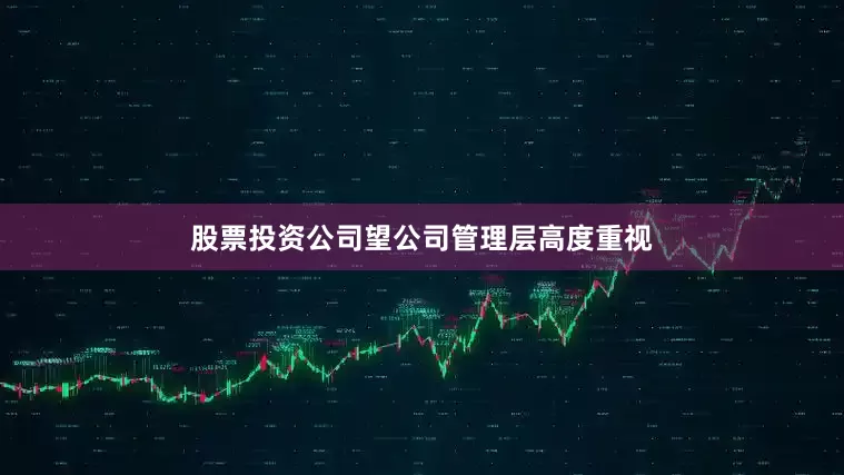 股票投资公司望公司管理层高度重视