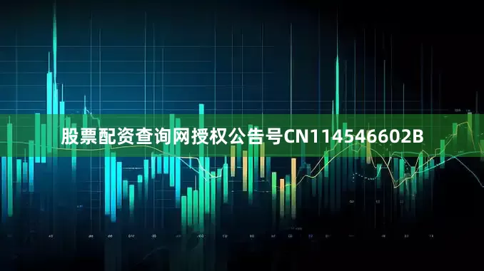 股票配资查询网授权公告号CN114546602B