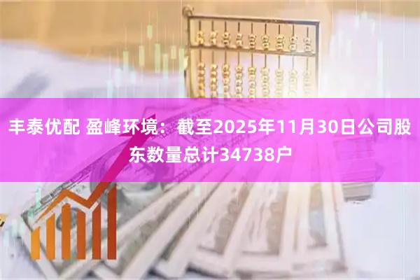 丰泰优配 盈峰环境：截至2025年11月30日公司股东数量总计34738户